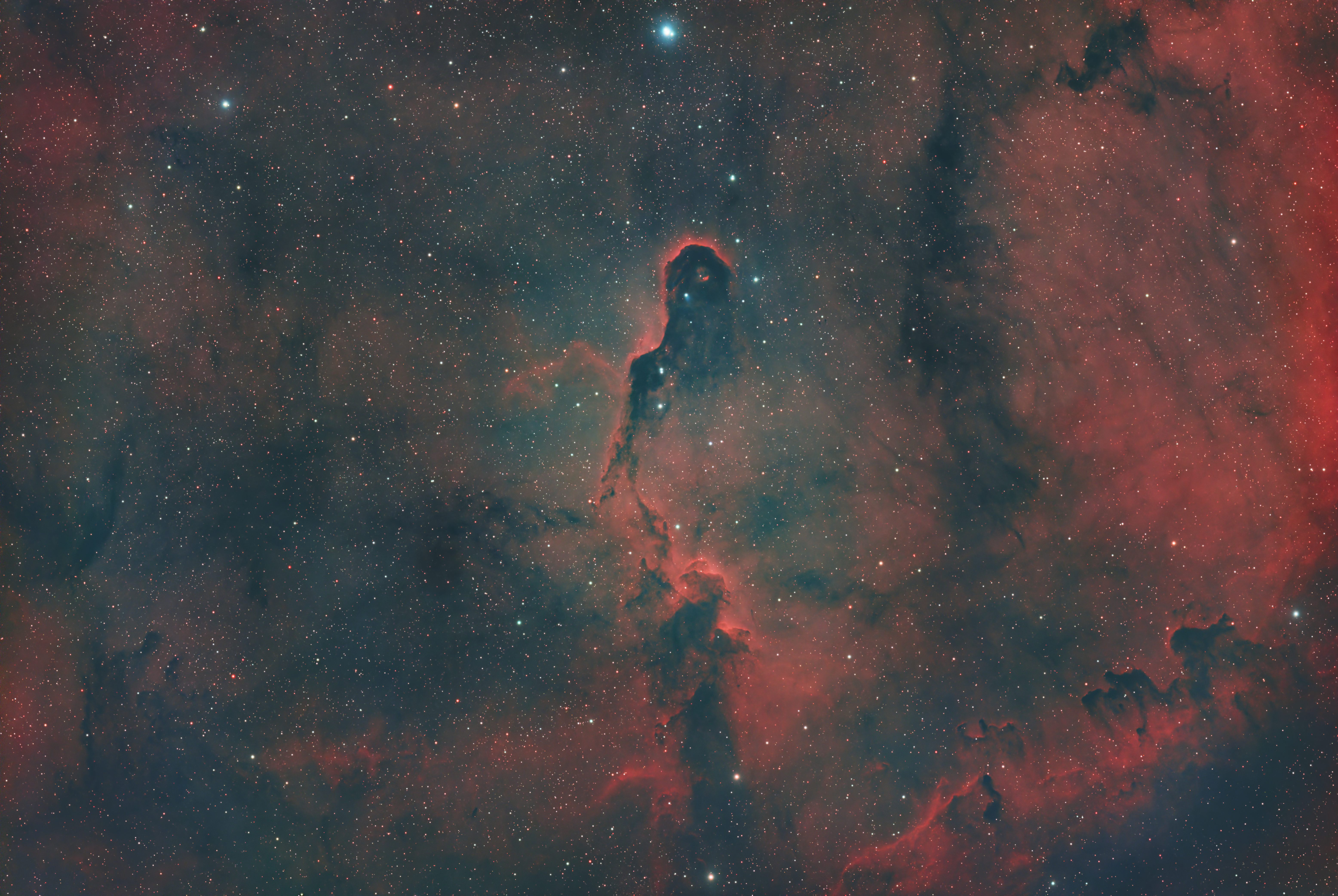 IC 1396 (Elephant Trunk Nebula)